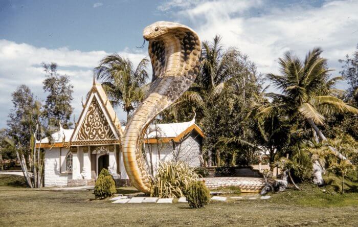 Vintage photo of the Miami Serpentarium