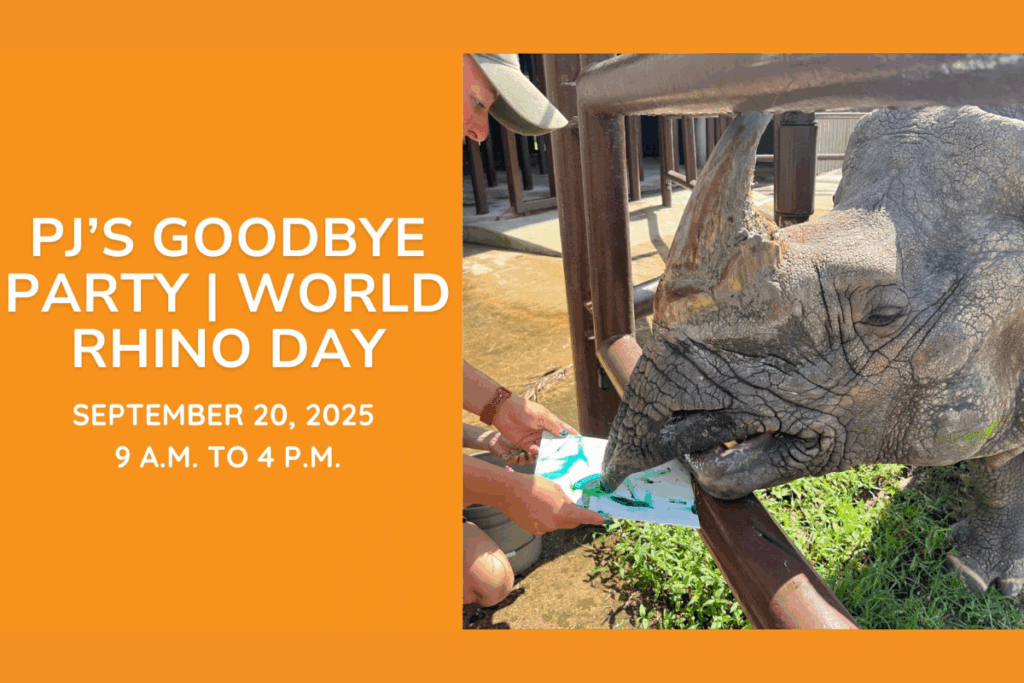 PJ the Rhino Goodbye at Central Florida Zoo
