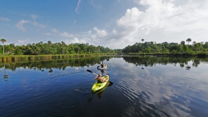 Photo of a kayaker in Crystal River