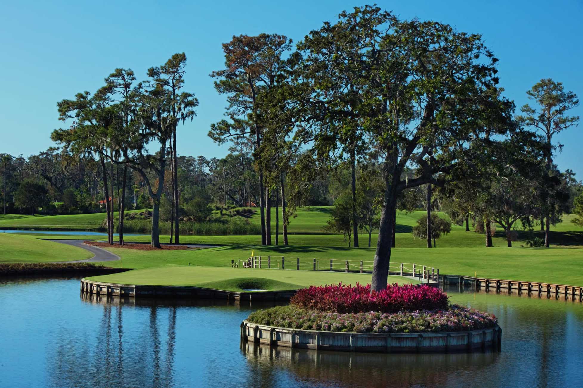 TPC Sawgrass Golf Course and tree