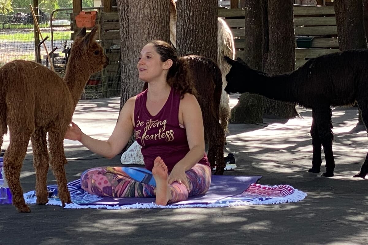 Yoga Teacher with alpacas