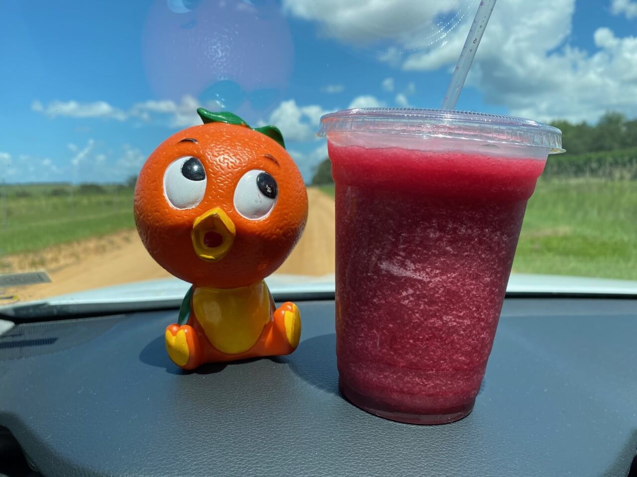 Florida Orange Bird and Blueberry Frozen Drink from Southern Hill Farms