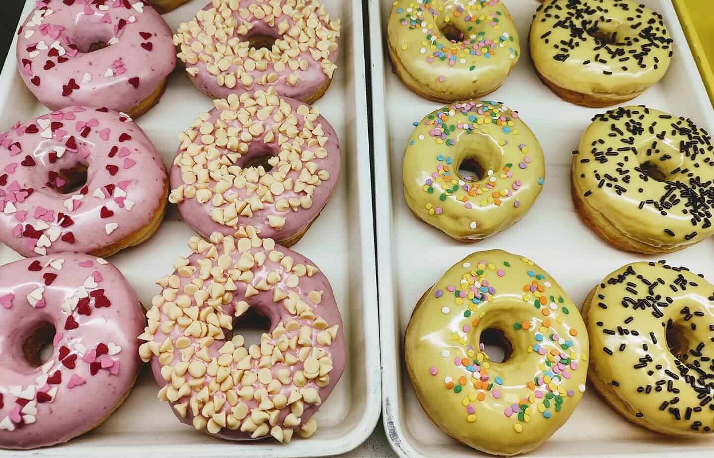 Donuts from Fresh Start Donuts in Beverly Hills Florida.