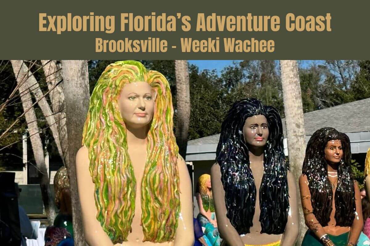 Exploring Florida’s Adventure Coast Brooksville – Weeki Wachee text on an image of mermaid statues.