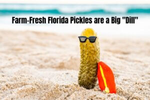 Florida Pickles