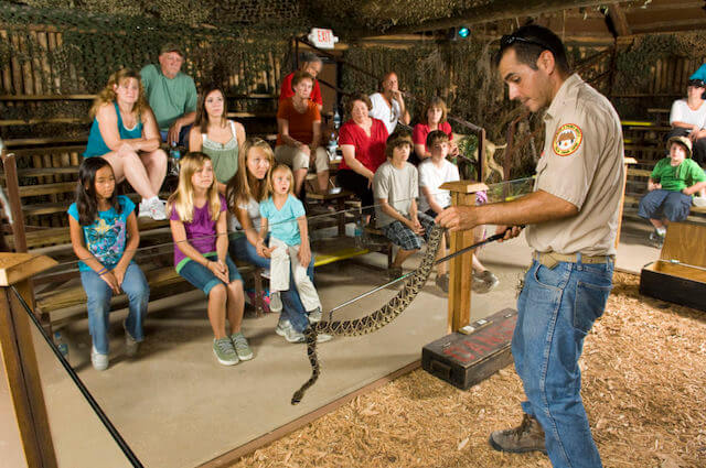 Photo of Snake Show at Billie Swamp Safari