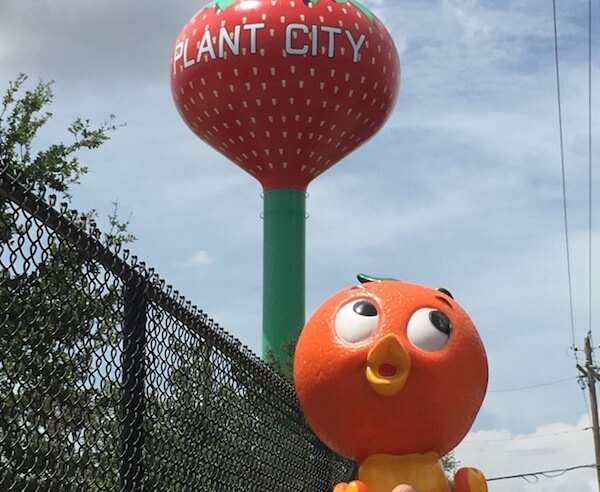 Plant City Strawberry Water Tower