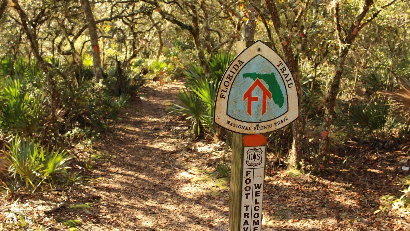 Ocala National Forest Trail.