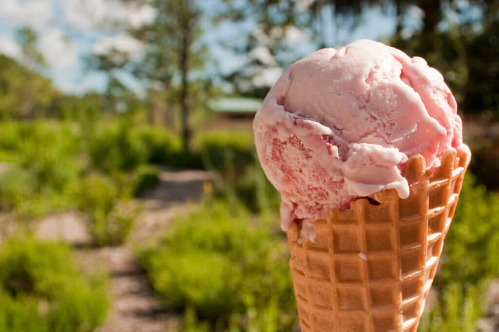 Ice Cream at Bok Tower Gardens