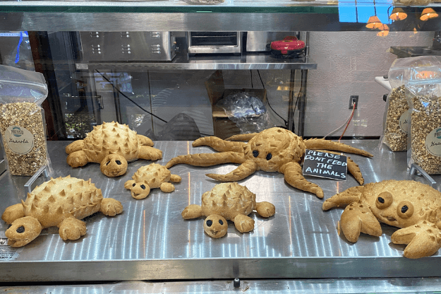 Sea animals made of bread 