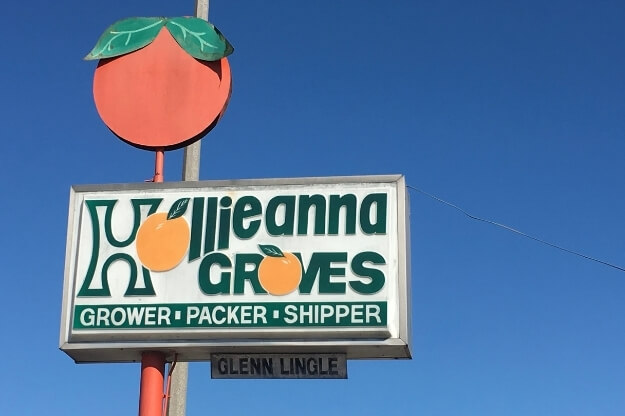 Photo of the Hollieanna Groves sign in Maitland