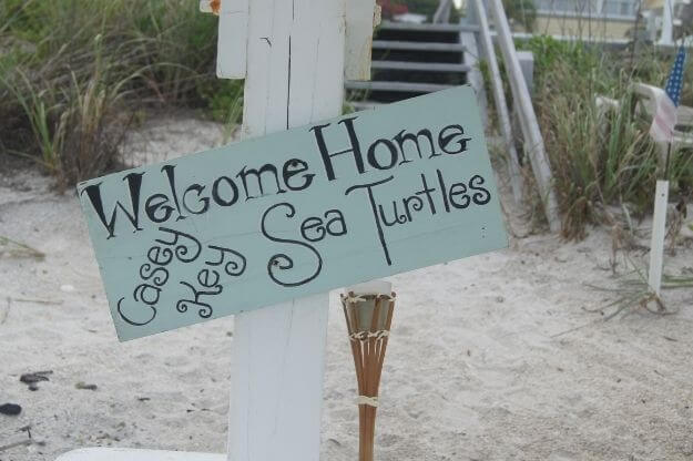 Photo of sign on the beach for sea turtles
