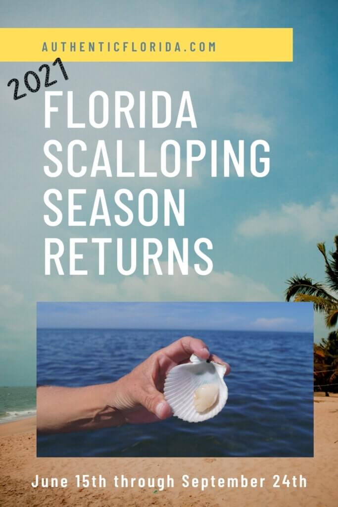 Photo of a graphic with a scallop saying Florida Scalloping Season Returns