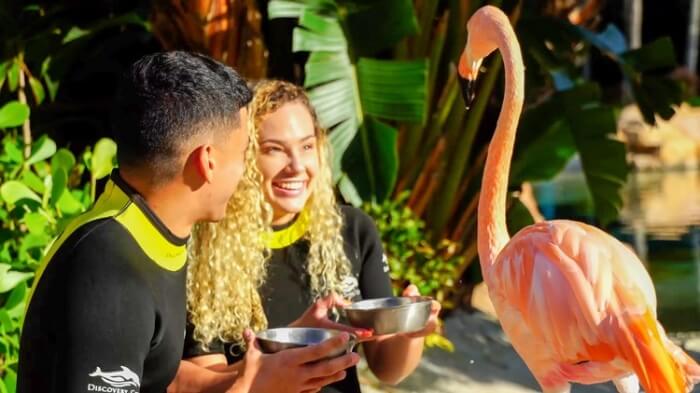 Photo of people with a flamingo at Discovery Cove