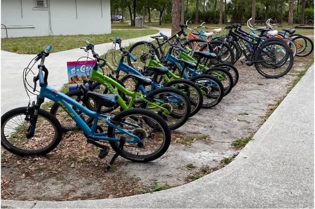 Photo of a row of bicycles in a park