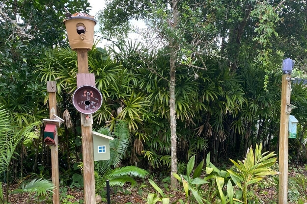 Photo of birdhouses at Songbird Park