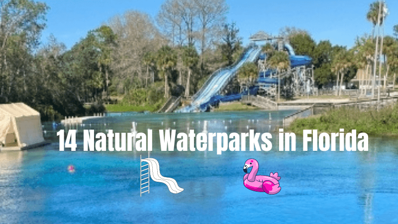 Make a Splash at These 14 Natural Waterparks in Florida