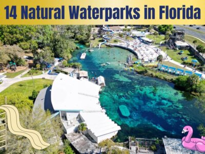 Make a Splash at These 14 Natural Waterparks in Florida
