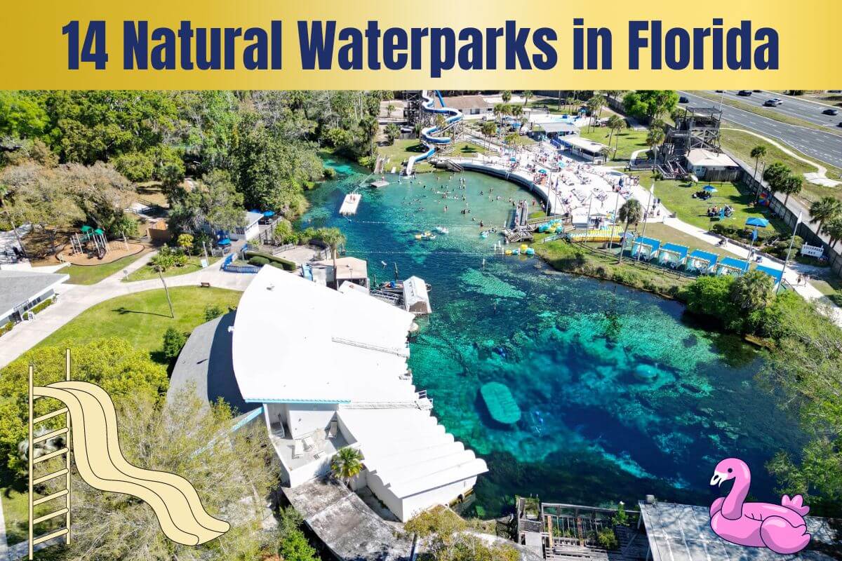 14 Natural Waterparks in Florida aerial featured photo by Weeki Wachee