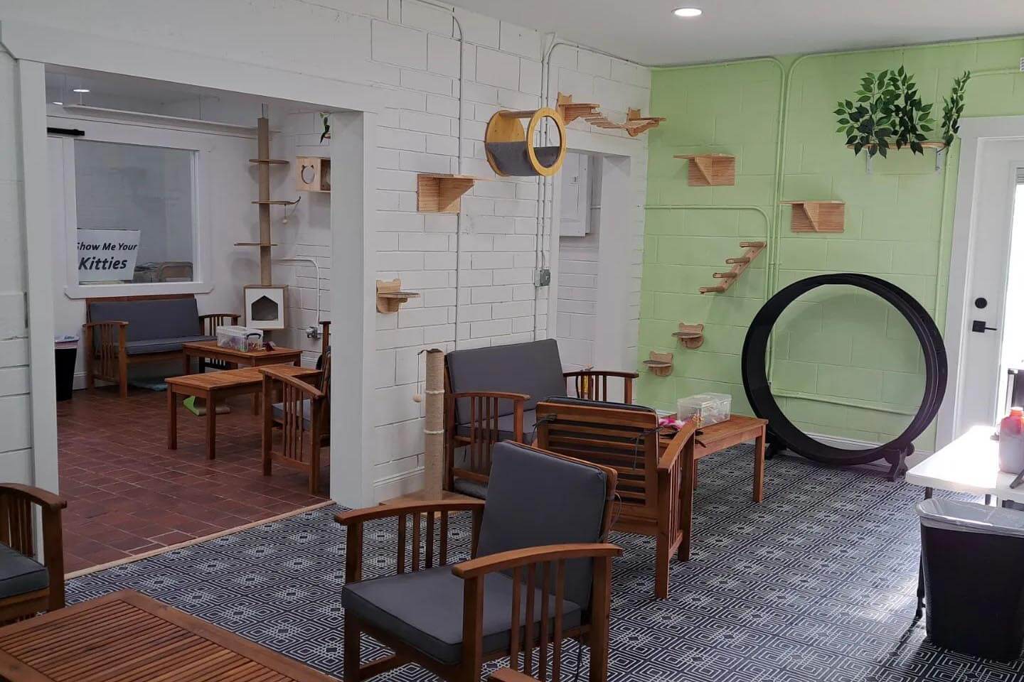 Deland Cat Cafe interior. 