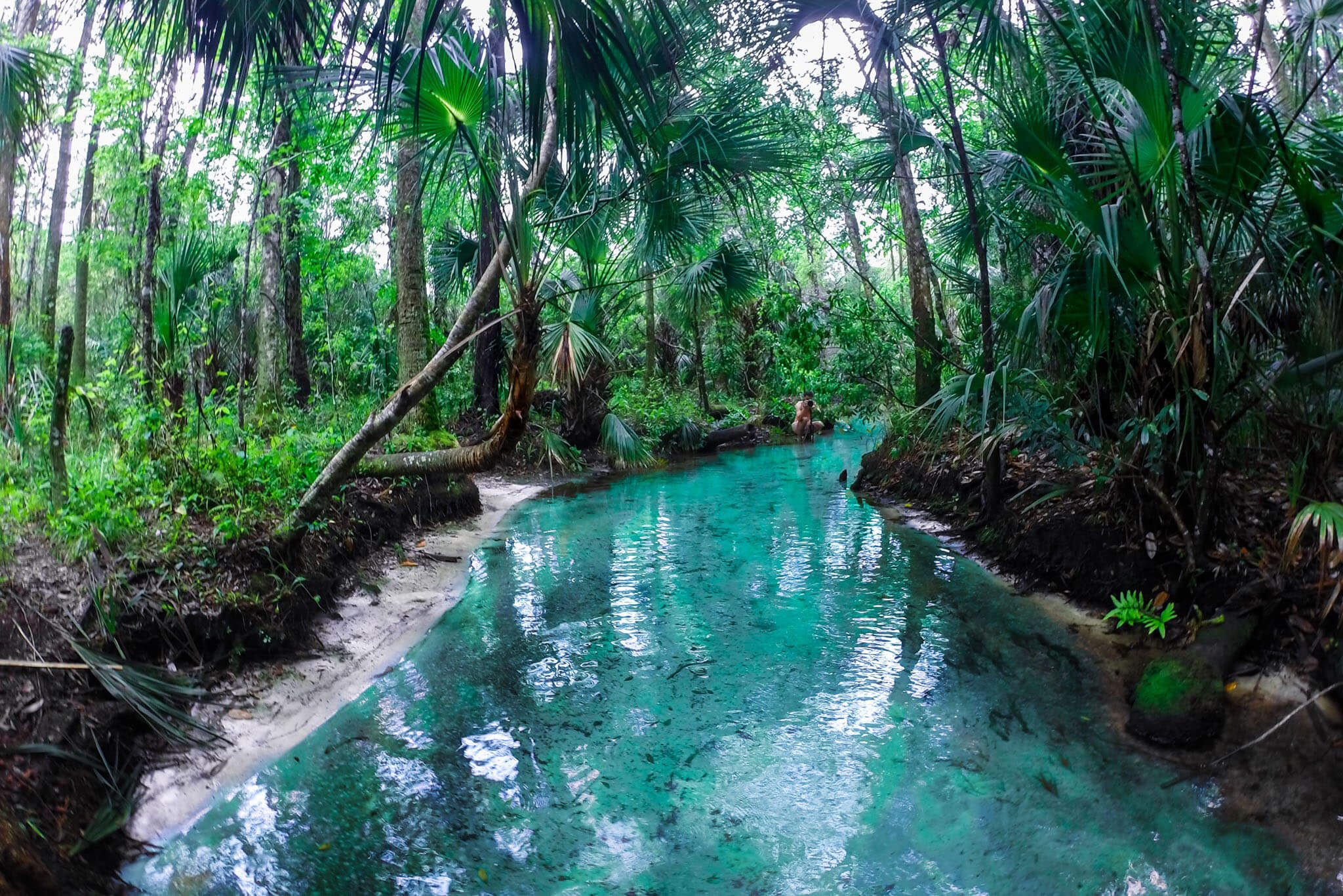 Crystal River in Florida 