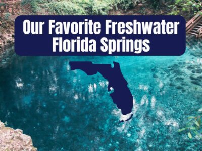 Our 19+ Favorite Freshwater Florida Springs in 2024