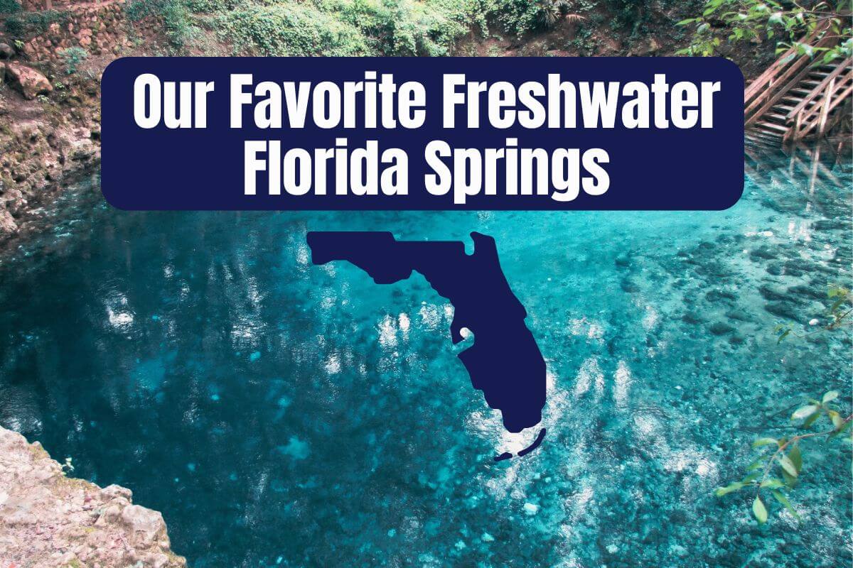 Our Favorite Freshwater Florida Springs 2024