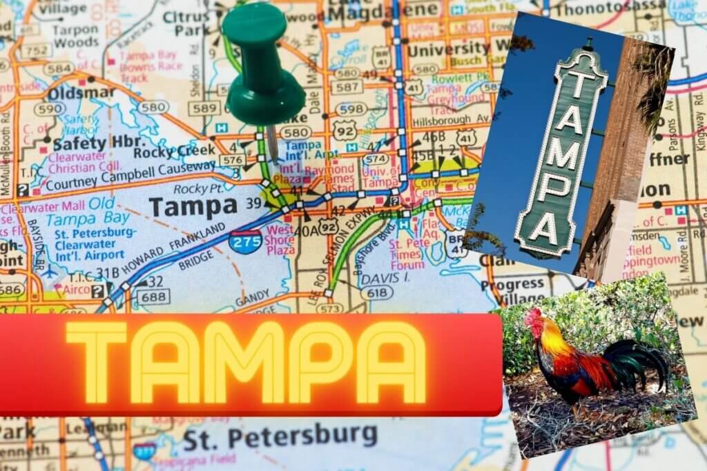 Map of Tampa that shows Authentic Things to Do like visit the Tampa Theatre and see the chickens in Ybor City