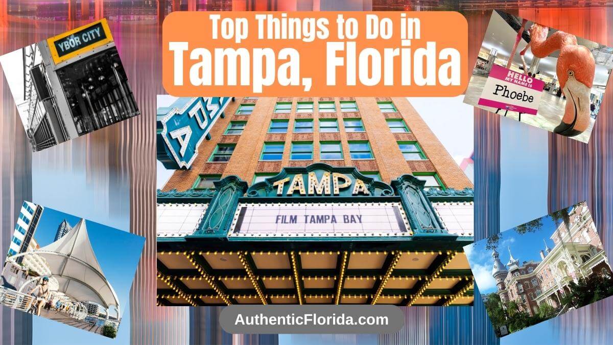 Don't Miss the Top Florida Events in February 2025