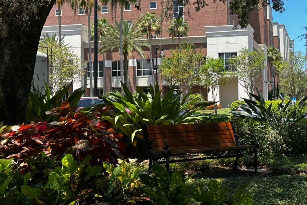 University of Tampa campus bench