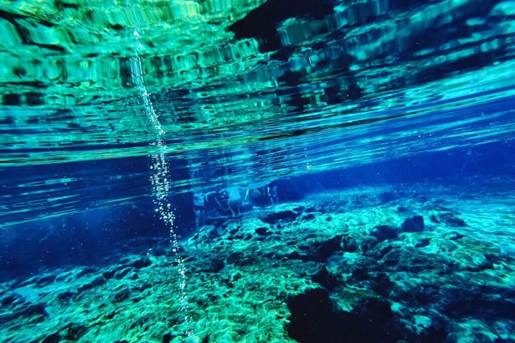 Ginnie Springs underwater photography