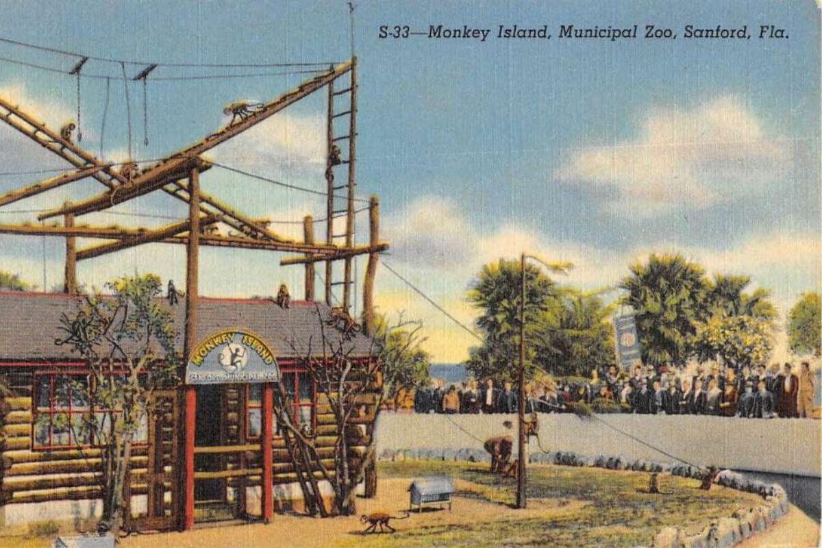 Monkey Island at Municipal Zoo in Sanford vintage postcard.