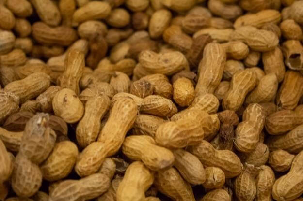 Photo of close up shot of Williston peanuts