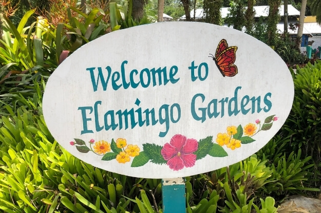 Sign that reads welcome to flamingo gardens. 