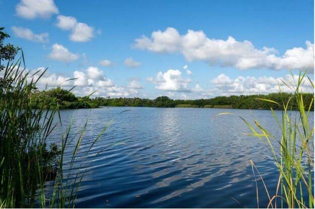 Photo of the Everglades National Park in Miami
