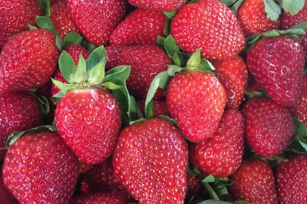 Knaus Berry Farm Strawberries