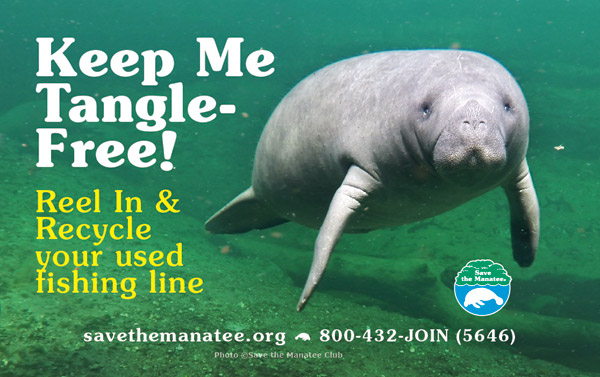 Save the Manatees Summer 2022 Ad