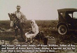 Vintage Velma Harvest