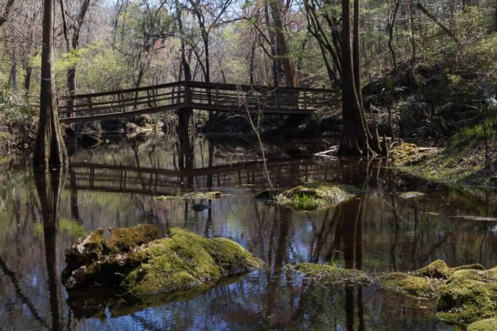Suwannee River State Park with bridge