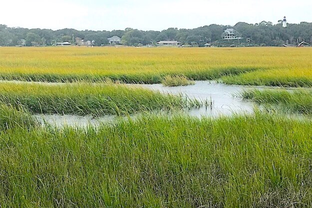 Marshes on Amelia Island. 