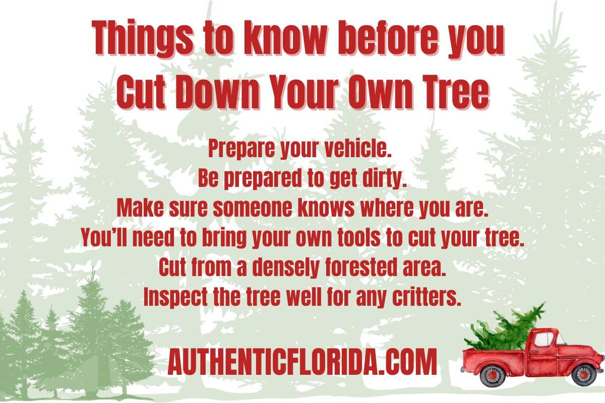 Things to know before you cut down your own tree
