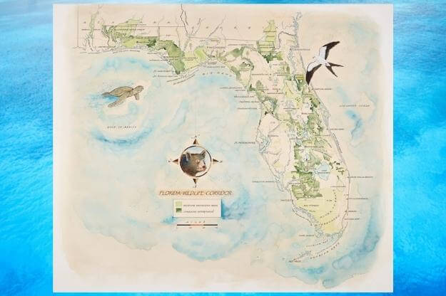 Photo of Florida Map