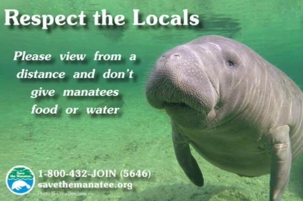 Ad for Save the Manatee Club May 2022. 