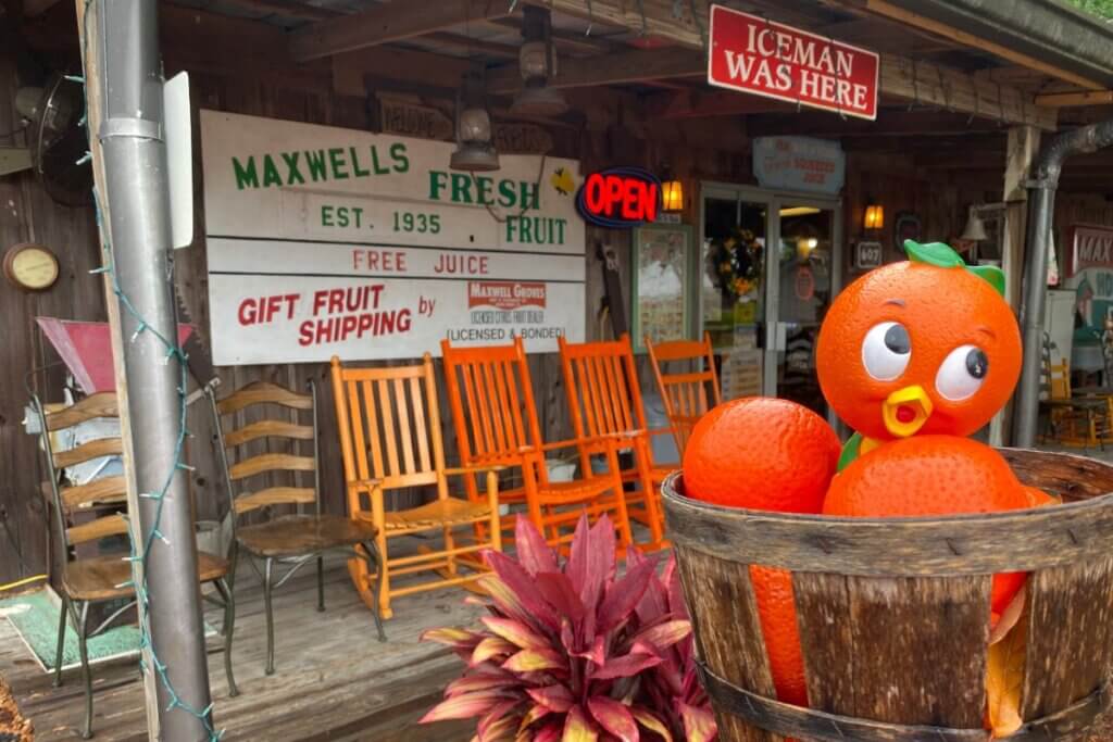 Orange Bird at Maxwells Groves Country Store in Avon Park Florida