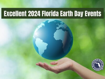 Excellent 2024 Florida Earth Day Events