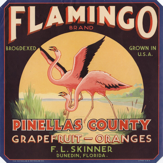 Flamingo Brand Citrus Label. 