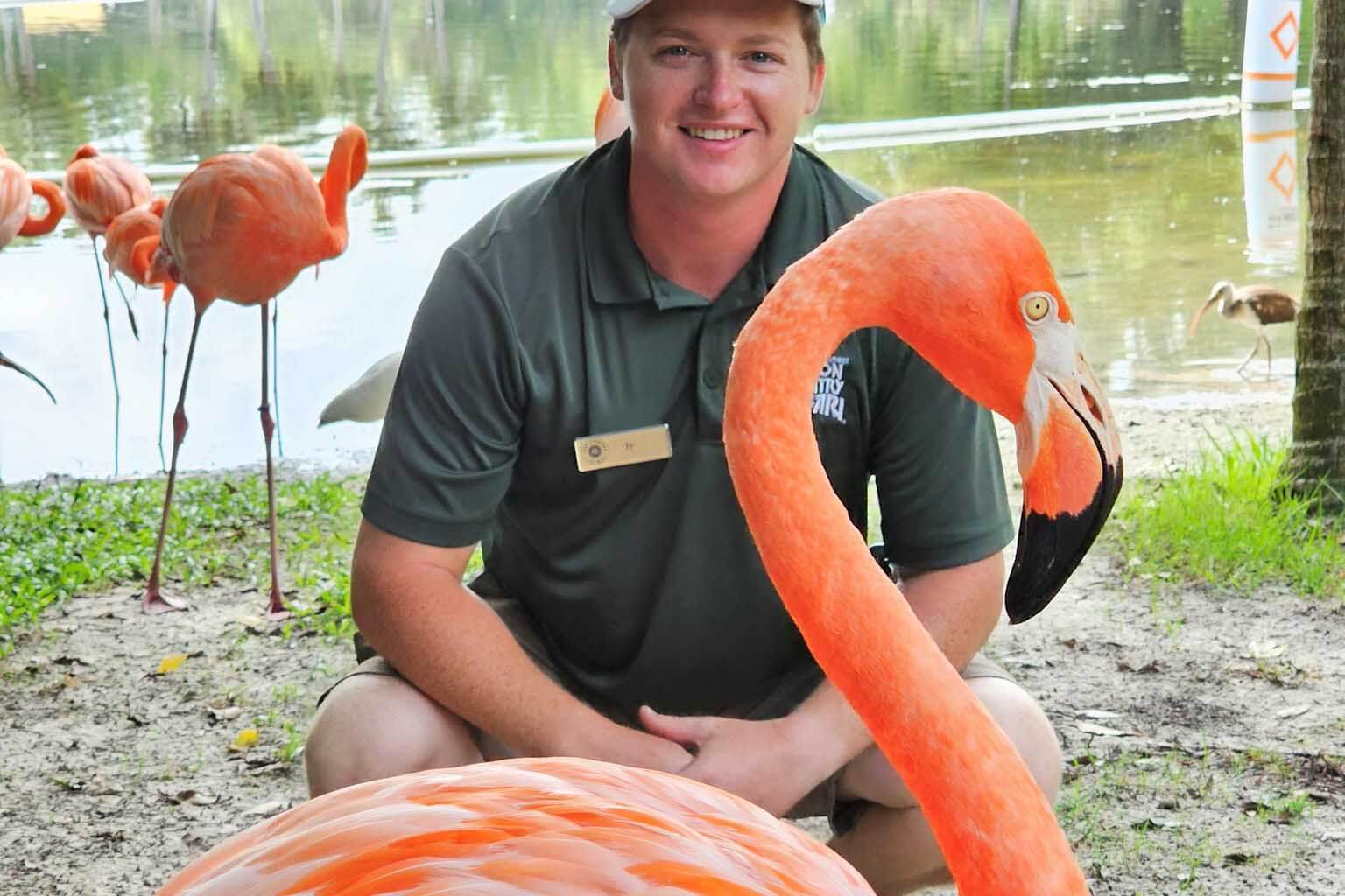 Flamingos at Lion Country Safari