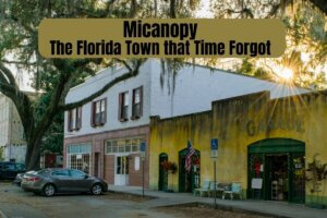 Micanopy, the Florida Town that Time Forgot