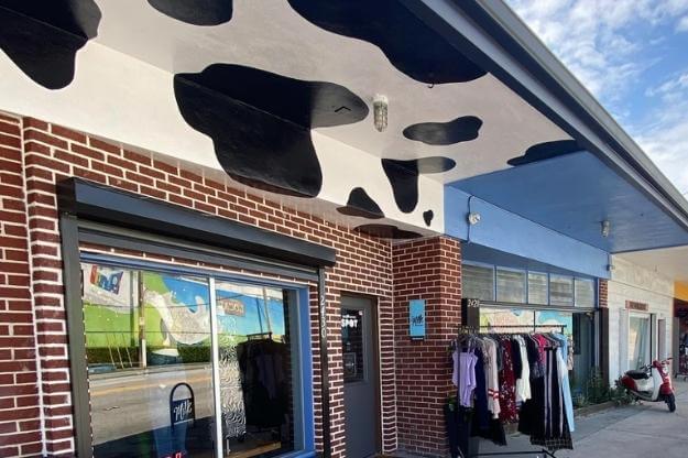 Photo of Cow Ceiling at store in Orlando Milk District