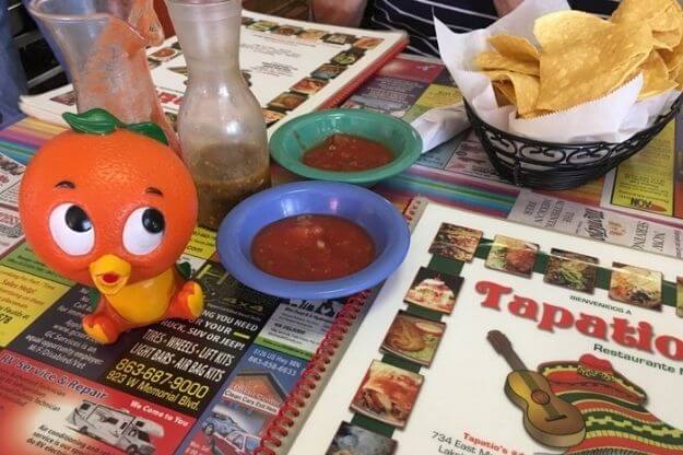 Orange bird next to chips and salsa.